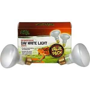  Zilla Day White Light Spot Lamp Value Pack: Pet Supplies