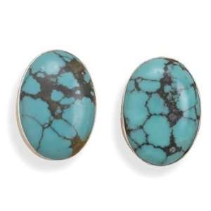  Turquoise Clip On Earrings: Jewelry
