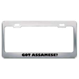Got Assamese? Language Nationality Country Metal License Plate Frame 