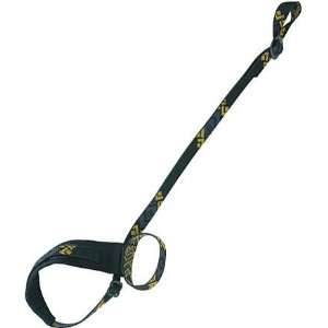  Black Diamond Lockdown Ice Axe Leash