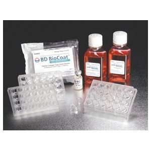 BD BioCoat HTS Caco 2 Assay System, 1 plate pack:  