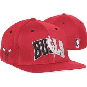  Chicago Bulls 2010 NBA Draft Hat: Sports & Outdoors