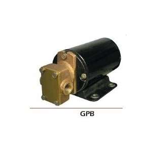   Gear Pump for Oil and Water Discharge GPB1 12 Volt 