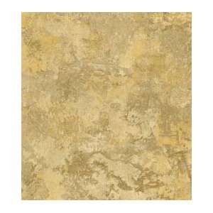    Stucco Faux Gold Wallpaper in Tuscan Kitchens: Home Improvement