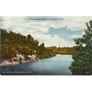  1930s Vintage Postcard   Kickapoo State Park near Danville 
