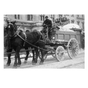  Carting Snow From New York Streets By Horse & Wagon Animal 