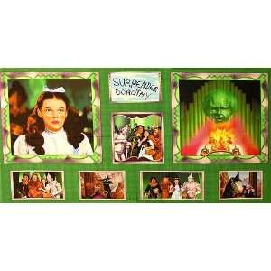  44 Wide The Emerald City Surrender Dorothy Panel Green 