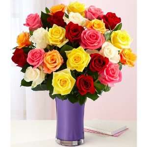 Two Dozen Long Stemmed Rainbow Roses Grocery & Gourmet Food