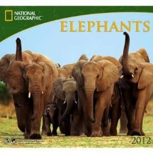   National Geographic with Map 2012 Wall Calendar: Office Products