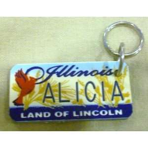  Illinois Land of Lincoln Alicia Keychain, Key Holder 
