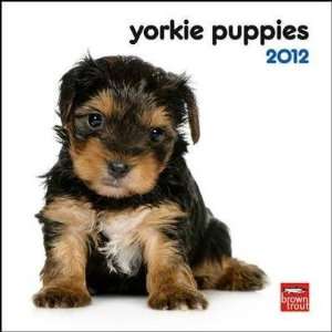  Yorkshire Terrier Puppies 2012 Small Wall Calendar: Office 