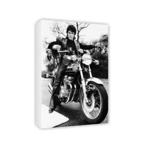  Alvin Stardust   Canvas   Medium   30x45cm