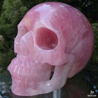 Excellent Titan 12.4 Pink Rose Quartz Rock Crystal Skull, Healing 