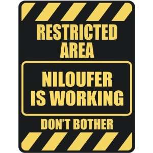   RESTRICTED AREA NILOUFER IS WORKING  PARKING SIGN: Home 