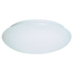  Sea Gull 5901 15 Ceiling Light