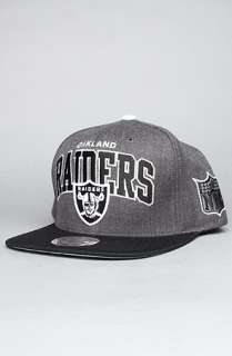   Mitchell & Ness The Oakland Raiders Arch Logo G2 Snapback Hat Gray