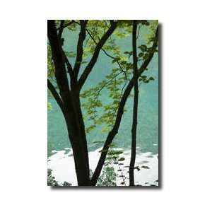   Springtime Jiuzhaigou National Park China Giclee Print: Home & Kitchen