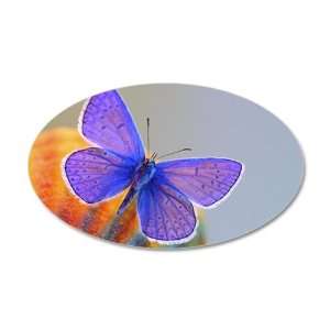   22x14 Oval Wall Vinyl Sticker Xerces Purple Butterfly 