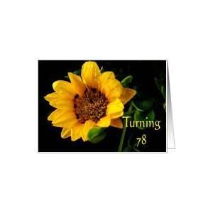  78th Birthday, yellow Gazania Card Toys & Games