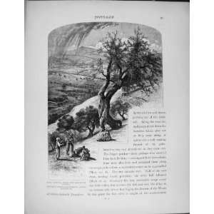  Palestine 1881 Neby Samwil Mount Olives Bethphage Figs 