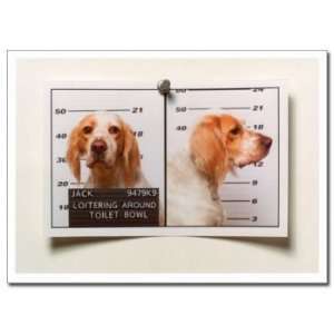  Bird Dog Mug Shot Birthday Card: Home & Kitchen