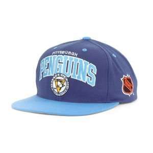 Mitchell & Ness Pittsburgh Penguins Snapback Hat:  Sports 