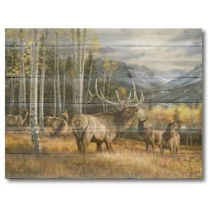  Wood Graphixs Inc. Meadow Music Wall Art: Home & Kitchen