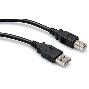   Male to B Male Universal Serial Bus Cable Musical Instruments