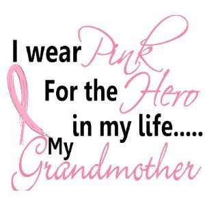   Cancer Hero In My Life, My Grandmother 1 Pet Clothing