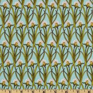  44 Wide Across The Pond Organic English Plantain Sky 