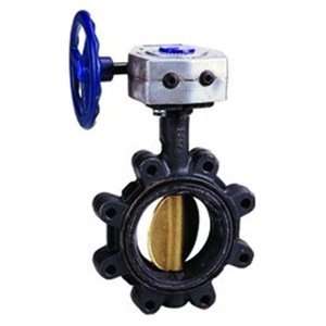   Gear Operated Iron Body Lug Butterfly Valve Domestic