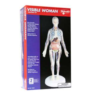 Visible Woman Anatomy Model Kit Skilcraft New  