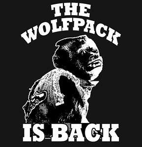 Wolfpack Is Back T Shirt * The Hangover Movie 2, Funny  