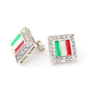  Iced Square Mexico Flag Stud Earrings 