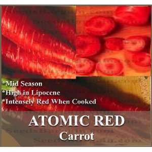   Carrot seeds   abundant amount of healthful Lypocene CANCER PREVENTION