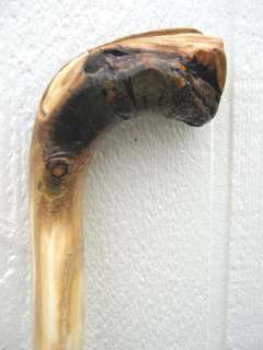 Aspen Walking Stick Staff Hand Carved in Colorado  