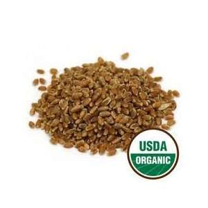    Wheatgrass Seeds   5 pounds   Organic Patio, Lawn & Garden