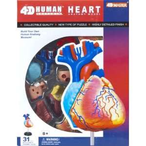  4D Vision   Visible Heart Anatomy Kit (Science) Toys 