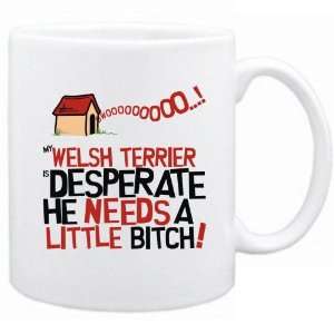  New  My Welsh Terrier Is Desperate   Mug Dog