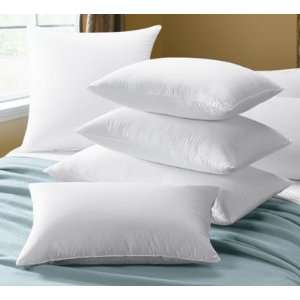 700 Fill Power White Goose Down Variable Stripe Soft Pillow ( Queen 