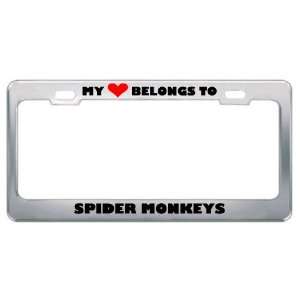 My Heart Belongs To Spider Monkeys Animals Metal License Plate Frame 