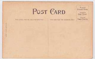 Your Not Safe in 1908 Without Marriage License Leap Year Postcard 
