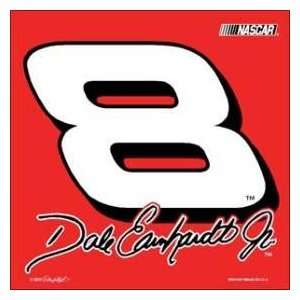  Dale Earnhardt Jr. #8 Car Flag: Sports & Outdoors