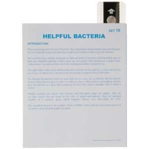  Helpful Bacteria Lesson Plan Set  Industrial & Scientific