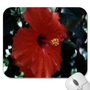 Mousepad   9.25 x 7.75 Designer Mouse Pads   Flowers/Floral (MPFL 