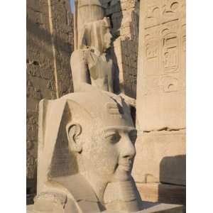  Satue of the Pharaoh Ramesses II, Luxor Temple, Luxor 