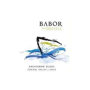  Odfjell Vineyards Sauvignon Blanc Babor 750ML Grocery 