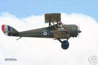 DH 5 Airco DH5 Fighter WWI Airplane Wood Model Big  
