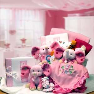 Baby Is Heaven Sent Gift Basket   Pink:  Grocery 