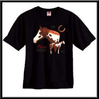 Paint Origin Horse Pony Horseshoe Shirt S 2X,3X,4X,5X  